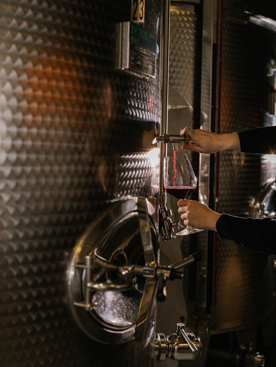 WINERY-8
